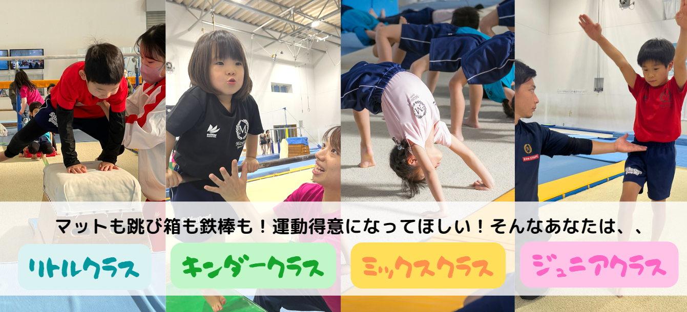 武蔵新城1号館&2号館 - Mizutori Sports Club｜体操・チア・新体操